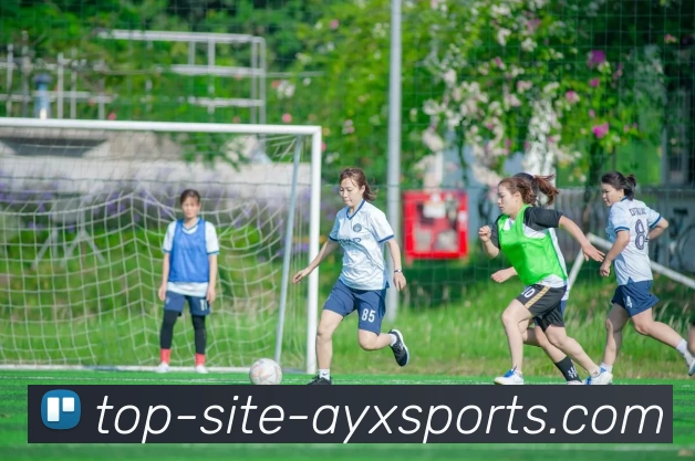 芬兰与波斯尼亚激战在即谁能在这场较量中笑到最后